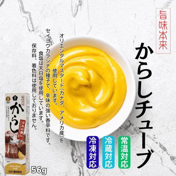 他サイト： からしチューブ 40gの商品画像