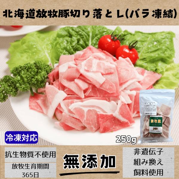 放牧豚切り落とし　非遺伝子組み換え飼料・抗生物質不使用で育った放牧飼育豚