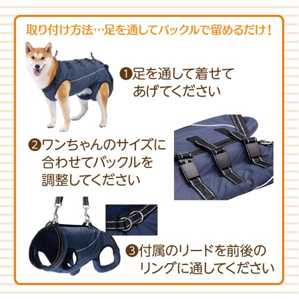fuku-see_dogharness-001_3_d_20250124225010