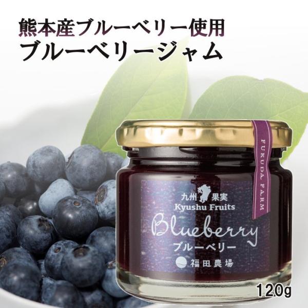 ジャム ブルーベリー 九州果実ジャム 120g 福田農場 熊本 : 福田農場