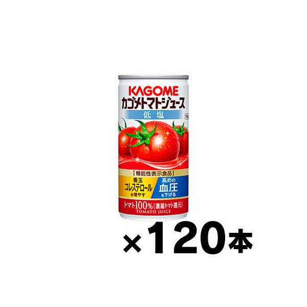 iIjiEEꕔn͏ jቖ@JS@g}gW[X@ZkҌ@190g×120{@@\\Hii{y[WȊO̓sj