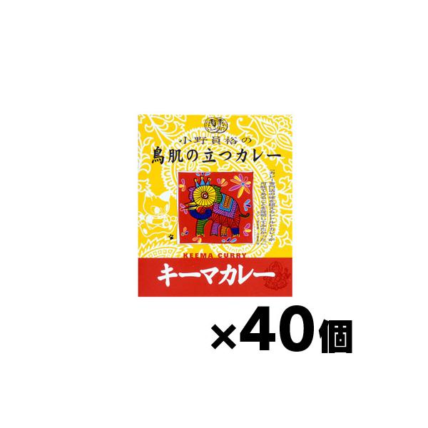 （送料無料！） MCC食品 小野員裕の鳥肌の立つカレー 「キーマカレー」 200g×40個