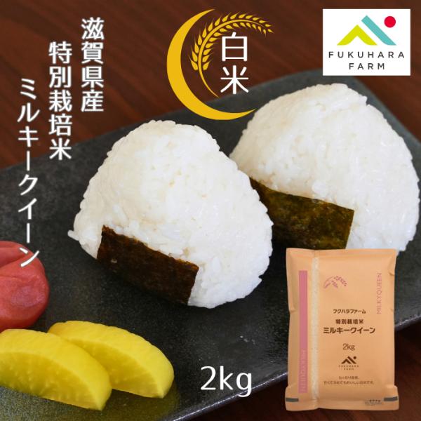 ミルキークイーン 特別栽培米 2キロ 白米 令和7年産 フクハラファーム