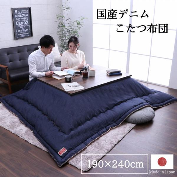 イケヒコ ブランシェ 普通版長方形 掛 NV 190X240 1160590190903