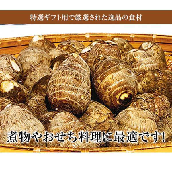 ���䌧���Y�㏯�����Rkg ���ϔ� �G�i  ���Ε�E�����p�ɂ� ������������ ���Ƃ��� ���� ���i�摜3