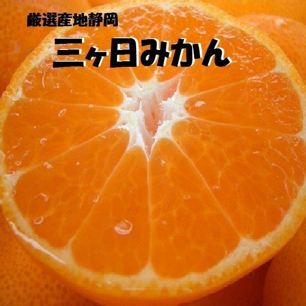 三ケ日みかん 無印 サイズ指定なし 約4kg 静岡県産【光センサー選別