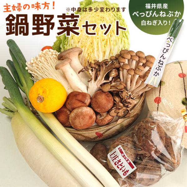 鍋用野菜セット 福井県産白ねぎ べっぴんねぶか入り きのこ 白菜 ねぎ おまかせ野菜