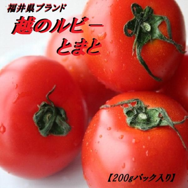 トマトと言うよりまさに【フルーツデザート】と言ったほうがピッタリです！【越のルビートマト】とは、【“糖度９度”】以上で、甘味が凝縮された、美味しさと栄養がギュッと詰まった魅力的なトマトです。しっかりとした食感で、食欲をそそる真っ赤なトマトで...