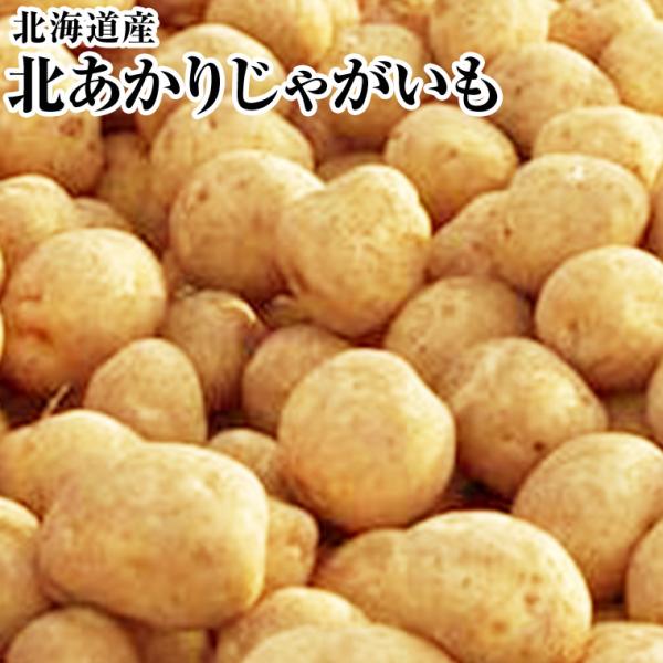 北海道 じゃがいも【北あかり】約1Kg　約3kg　約5kg　約10kg　北海道産 馬鈴薯 北あかり きたあかり