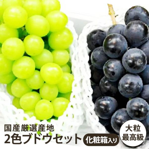 国産大粒ぶどう２種化粧箱　緑と黒ぶどう【シャインマスカット・雄宝等　緑葡萄】＆【巨峰・種無しピオーネ等　黒葡萄】