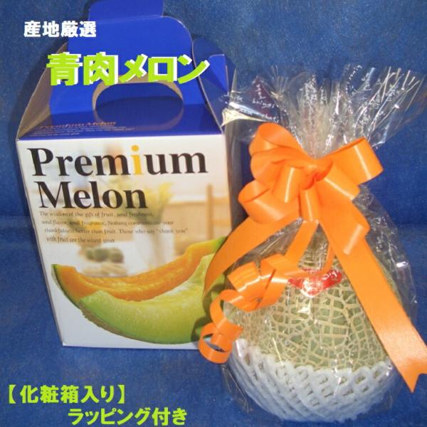 ふなぷー　アンデスメロン　4L5個5L4個セット　贈答用 ふなぷー様専用 アンデスメロン 4L5個5L4個セット 贈答用