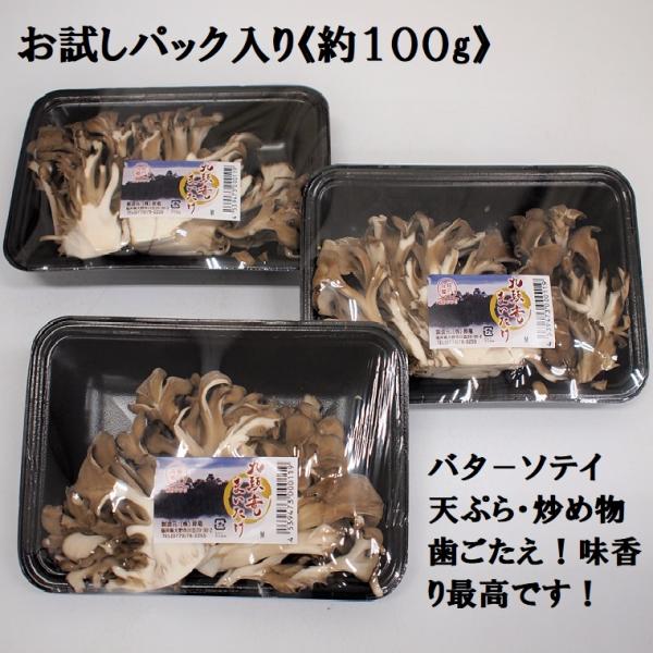 九頭竜まいたけ（福井県奥越産）くずりゅう まいたけ　約１００ｇパック森の香りと豊かな味わい！炒め物や天ぷらに！ギフトに！贈り物・内祝いに！