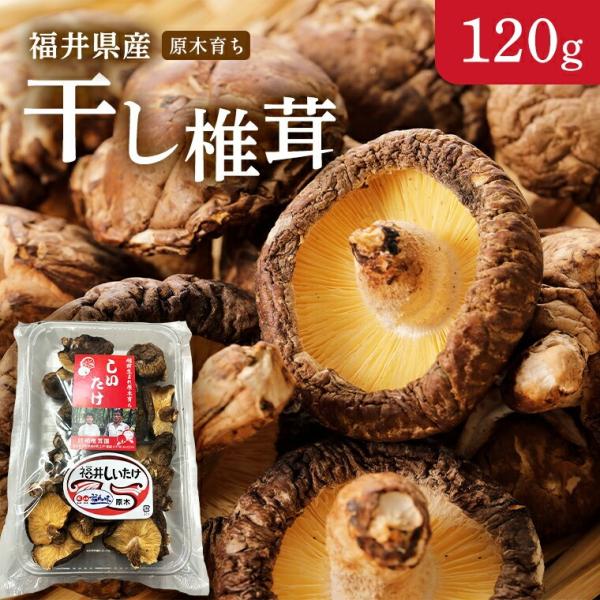しいたけ こだわりの原木育ち 越前干ししいたけ 120g入り 3袋　ほししいたけ  干し椎茸 椎茸　
