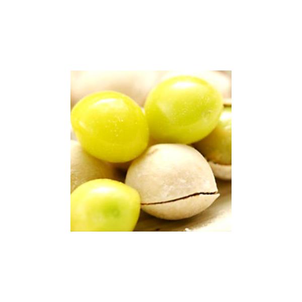 ぎんなん　銀杏　生ぎんなん　茶碗蒸し　おつまみ　福井