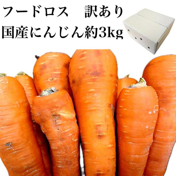 食品ロス　訳ありにんじん　北海道他厳選　規格外・傷・割れ・外皮黒ずみ等 人参 おまかせ 野菜  ご家庭用 ジュース スムージー用 国産  キャロット 不揃い 常備野菜 加工 業務用