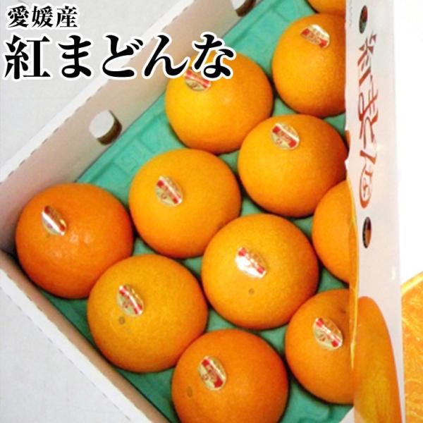 紅まどんなの通販 価格比較 価格 Com