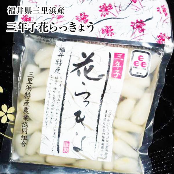 福井の【花ラッキョウ】全国唯一の【三年子】栽培形態です。厳しい冬を２回越し、収穫されるので、身が引き締まり、繊維も細かく、他県の物では味わえないソフトな食感ながら、シャキシャキの歯ごたえです。また、砂地で栽培されている為、色白で、美しいのが...