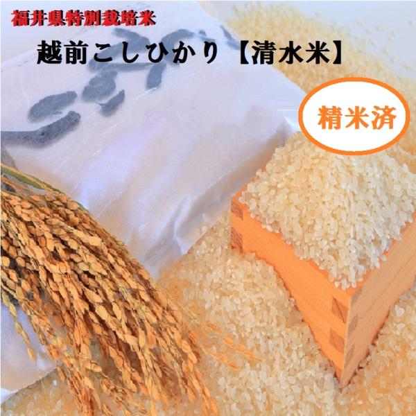 令和８年度産【清水米】精米1kg袋 【特別栽培米】こしひかり 新米 越前 福井の美味しいお米 新米は9月末からのお届けです。 米