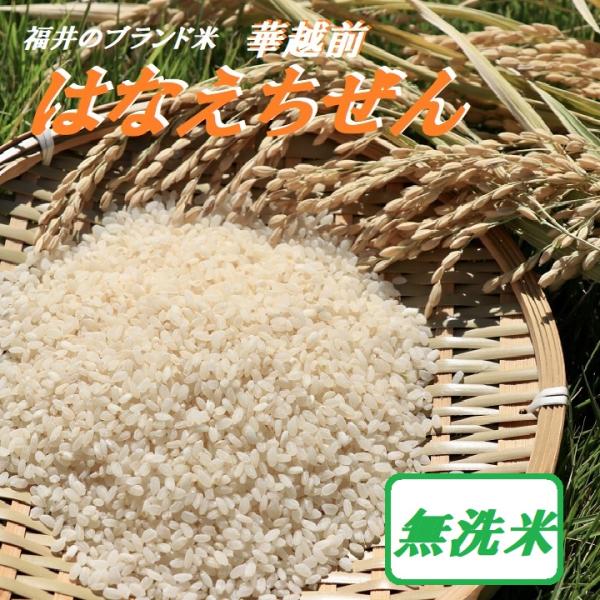 【はなえちぜん】華越前 ハナエチゼン【特別栽培米】【無洗米】2KG袋 福井の一番早い新米 白米 米 新米は通年８月下旬ごろから ブランド米 福井県