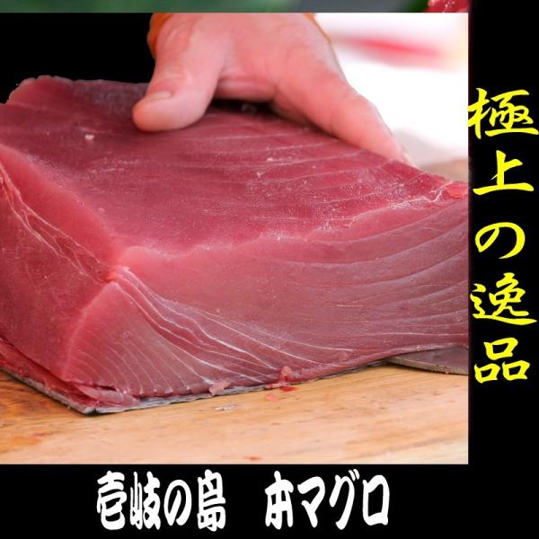 長崎　壱岐産　天然本マグロ 赤身 ブロック 300g