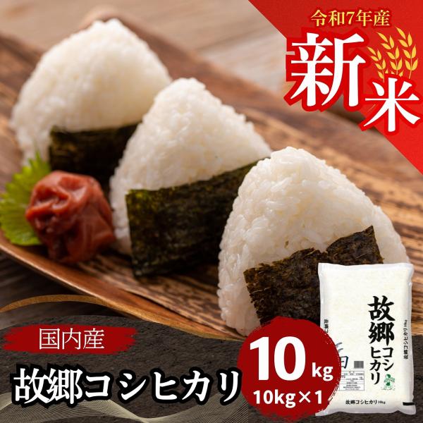お米 10kg 送料無料 コシヒカリ 新米 白米 国内産 故郷コシヒカリ 令和3年産 福井の米屋 通販 Paypayモール