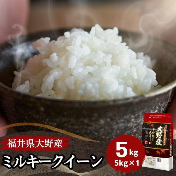 米 ミルキークイーン 5kg 福井県大野産 白米 令和7年産 送料無料