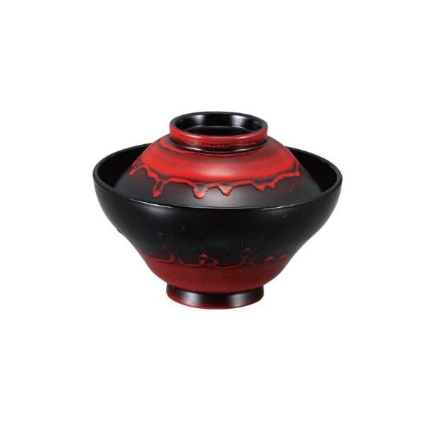 o Wt 4xm^ݘo ԕxm ϔMABS H@Ή f8-196-4