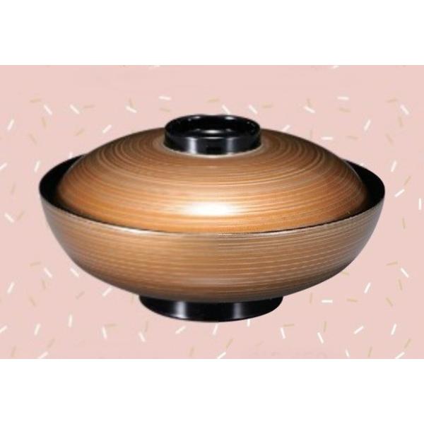 ϕo 4.5 ۋo S[hݓ ϔMABS H@Ή f8-203-3