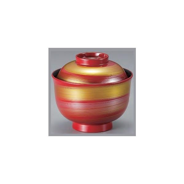 `o Wt sHzo M 100mm ϔMABS H@Ή f8-171-4