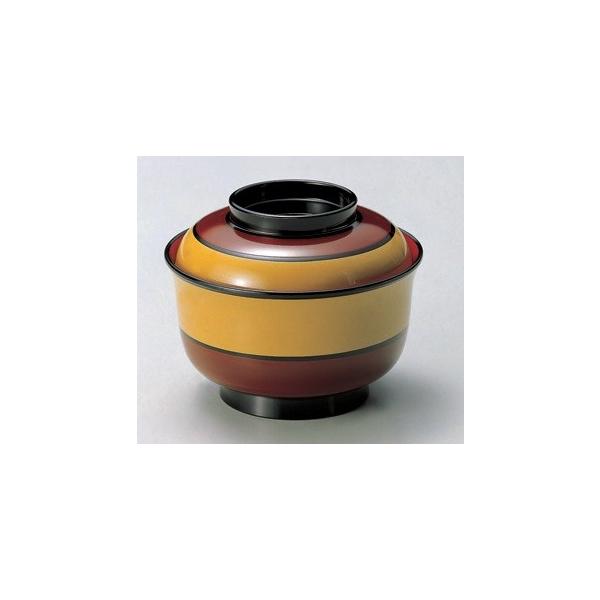 GϘo Wt 4 璹o ̕h ia118mmj ϔMABS H@Ή f8-197-6