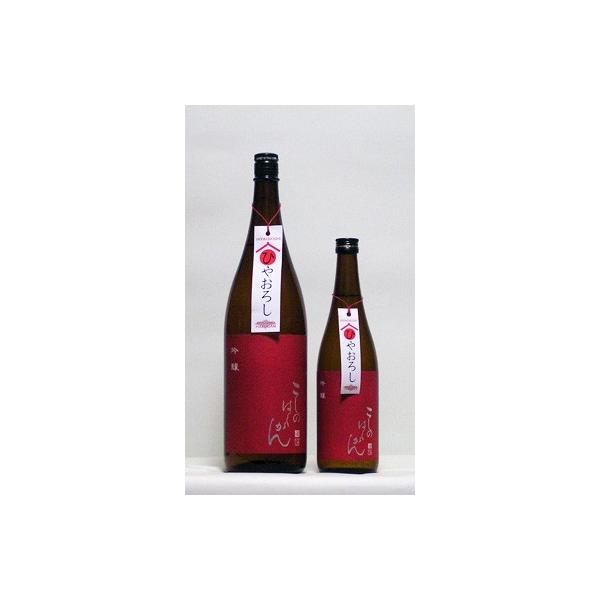 越乃白雁　「越淡麗」吟醸ひやおろし　720ml　（日本酒/新潟の地酒/中川酒造）