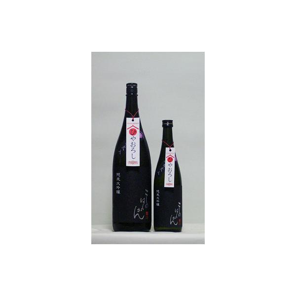 越乃白雁　「越淡麗」純米大吟醸　無濾過ひやおろし　720ml　（日本酒/新潟の地酒/中川酒造）
