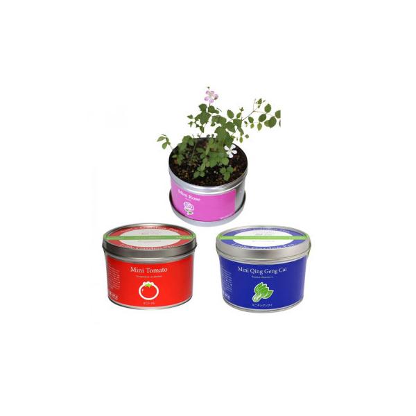 種 ミニバラの人気商品 通販 価格比較 価格 Com