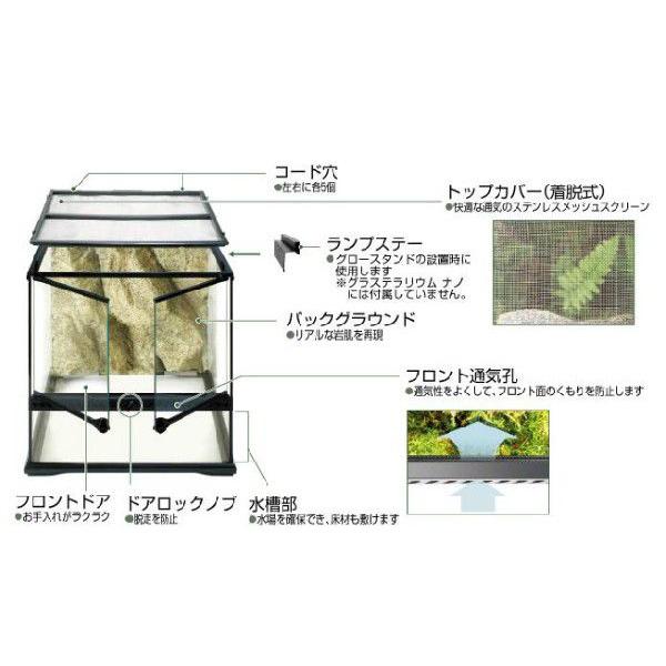 グラステラリウム ナノ Pt2601 Gex ジェックス Buyee Buyee Japanese Proxy Service Buy From Japan Bot Online