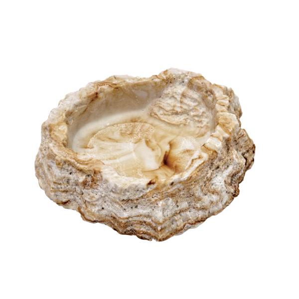 ★爬虫類用の水・餌入れです。★爬虫類の生態、行動に合わせて開発された、天然石をリアルに再現したデザインのボウルです。★横転や位置ズレの少ないずっしりとした安定感。脱皮を助け、滑りを予防します。■108mm×103mm×25mm■ポリレジン製...