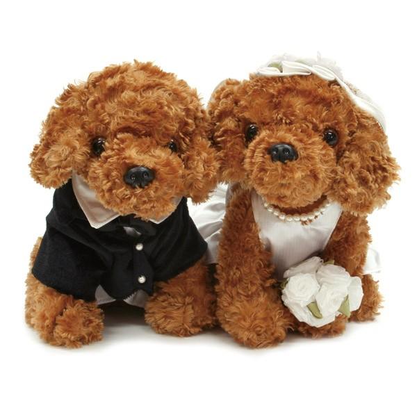 バルーン電報 祝電 結婚式 電報 ウエディングドール 犬 トイプードルブラウン 送料無料 ぬいぐるみ電報 ウェディング Buyee Buyee Japanese Proxy Service Buy From Japan Bot Online