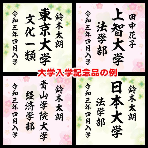 送料無料 入学記念 フォトフレーム 大学 入学 写真 Lサイズ 合格祝い プレゼント 入学祝い ギフト お祝い 名入れ Hakuba Dd01 名入れギフト福来館 通販 Yahoo ショッピング