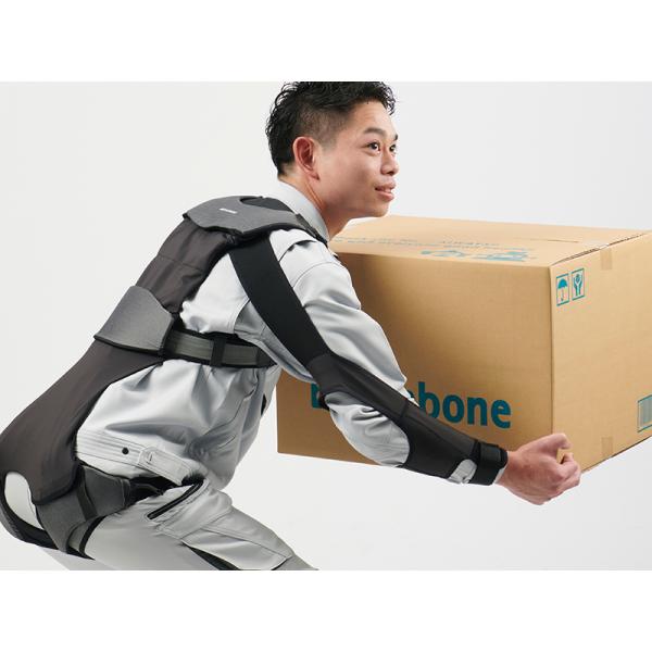 yzyrp[ĉ݁zAVXgX[c DARWING Hakobelude(_[EB nRxf)