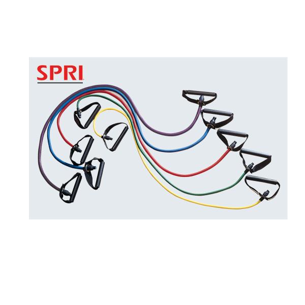 SPRI GNTTCY`[u O[ x-1 g[jO GNTTCY `[u Soh ؃g _  Mtg