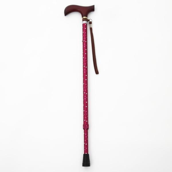 EFt@ CtXebL Lk^(X^Cv) ԃC 