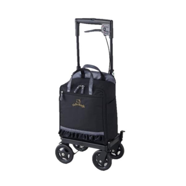 EFt@ TChJ[gSAWEp(n[LeB) ubN 010105