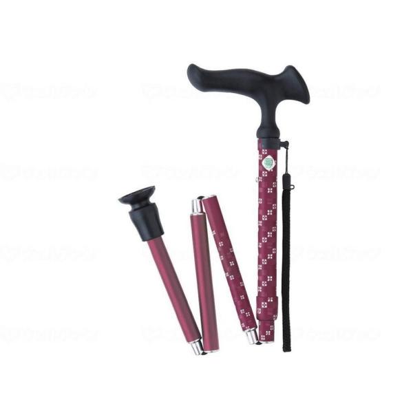 tWz[ XebL 邪E ܏S s Ҍ WB3794