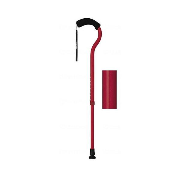 tWz[ t~SN Lk fB[vbh WB3884