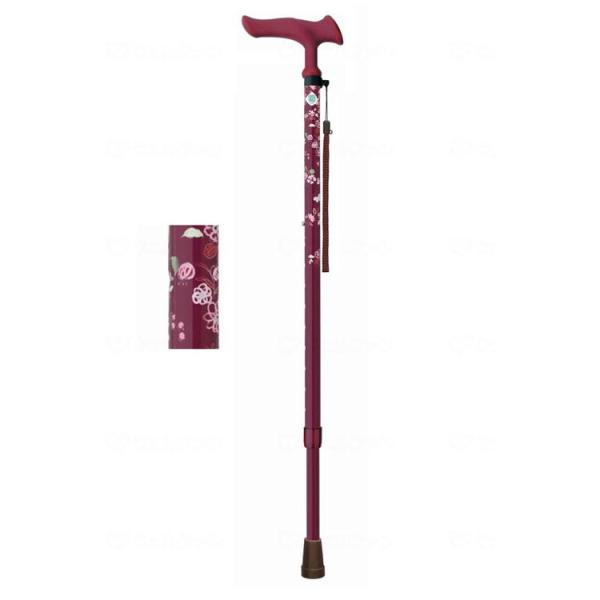 tWz[ 邪t@2 Lk ԃC WB5130