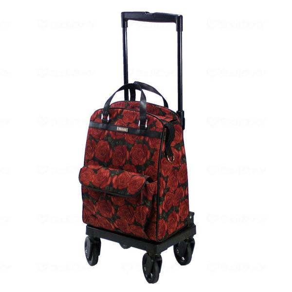 쏊 fB X[Y [YR Ҍ VbsOJ[g