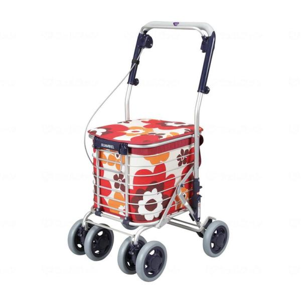 [oY C[J[g X ԕbh AS-0275