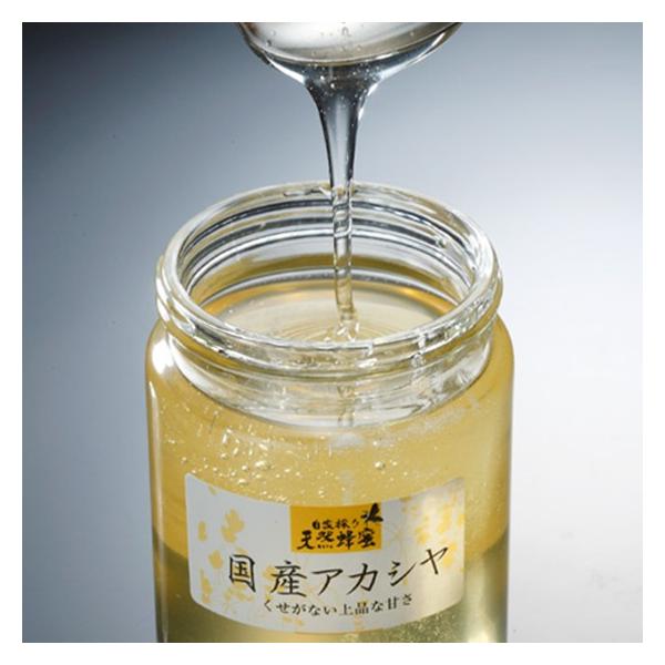 YVRAJVI@Ε/i/Mtg// ӂ܃vCh