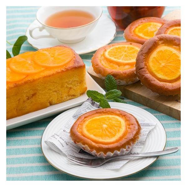 sAIWP[LE~jIWP[Li①ցj@/i/Mtg//