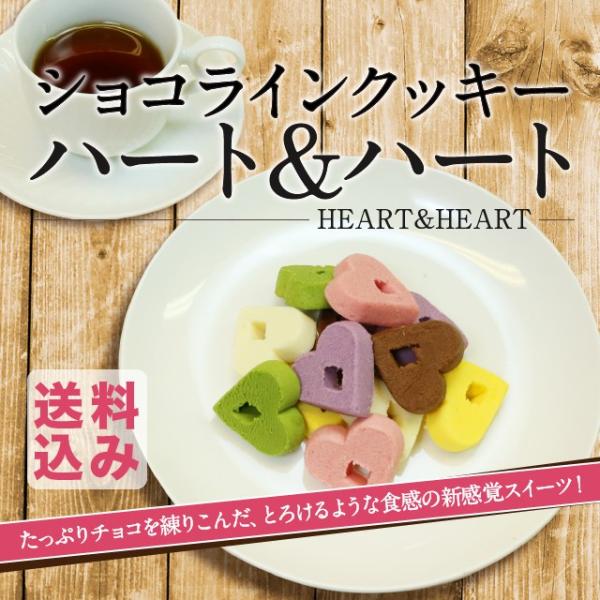 ショコラインクッキー（１２個）　福島 お菓子のさかい チョコレート クッキー 洋菓子