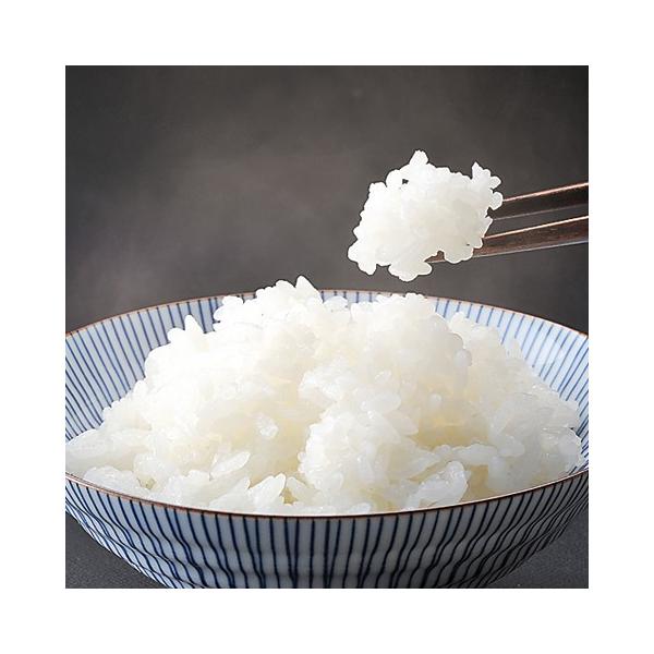 yߘa7NYz̉ÑYRVqJPO Y  ӂ V   10kg